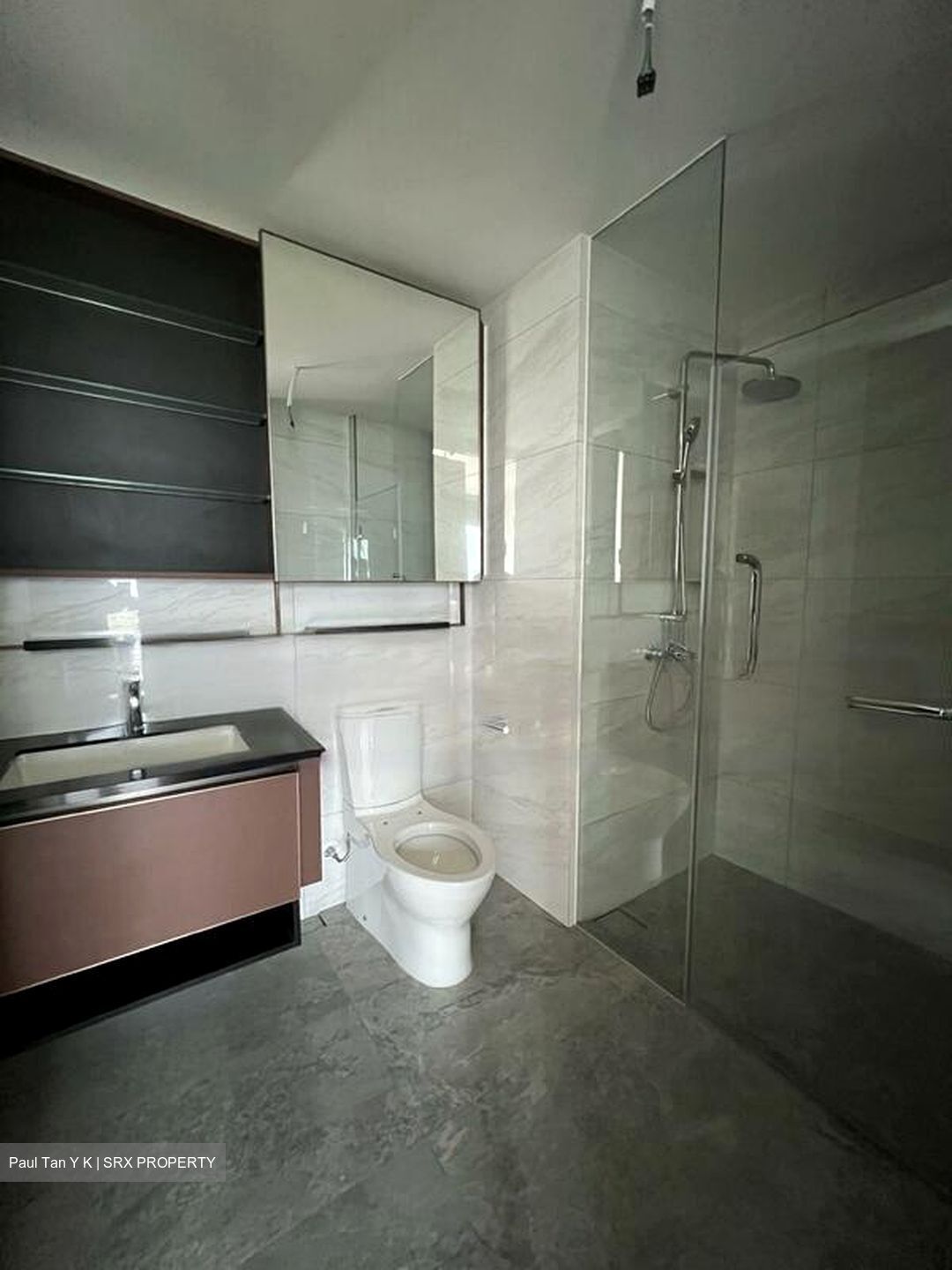 Normanton Park (D5), Apartment #474058451